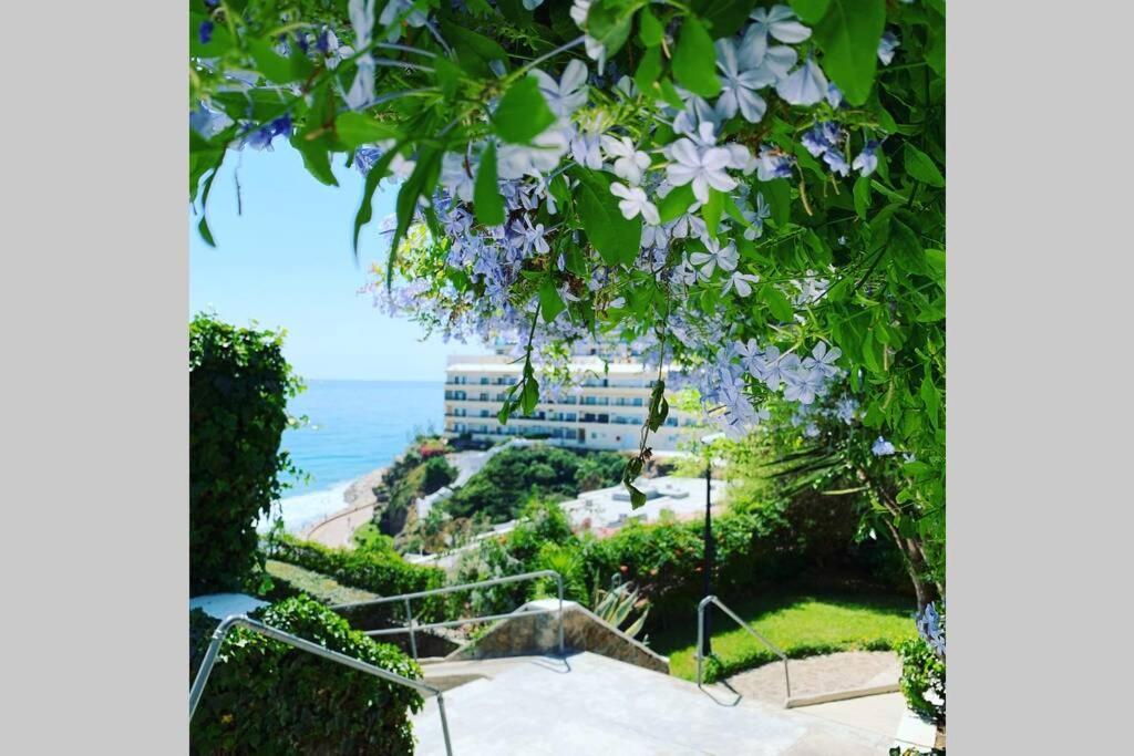 Amazing Frontline Sea Views Studio Apartment Castillo Del Vigia 토레몰리노스 외부 사진